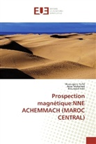 Moussaid Azizi, Mezougan Hafid, Mezougane Hafid, Aiss Mohamed, Aissa Mohamed - Prospection magnétique:NNE ACHEMMACH (MAROC CENTRAL)