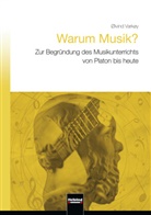 Stefan Gies, Øivin Varkøy, Øivind Varkøy - Warum Musik?