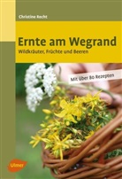 Christine Recht - Ernte am Wegrand