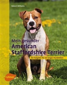 Robert Williams - Mein gesunder American Staffordshire Terrier