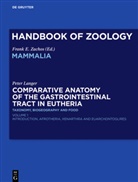 Peter Langer, Andreas Schmidt-Rhaesa - Handbook of Zoology - Volume I: Comparative Anatomy of the Gastrointestinal Tract in Eutheria I