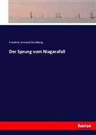 Friedrich Armand Strubberg - Der Sprung vom Niagarafall