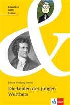 Johann Wolfgang von Goethe - Die Leiden des jungen Werther