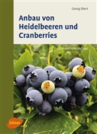 Georg Ebert - Anbau von Heidelbeeren und Cranberries