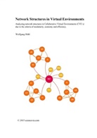 Wolfgang Höhl - Network Structures in Virtual Environments