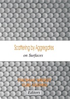 Thoma Wriedt, Thomas Wriedt - Scattering by Aggregates on Surfaces