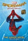Marvel, Marvel (COR), Jim Mccann - Marvel's Spider-man Homecoming