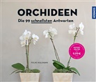 Folko Kullmann - Orchideen