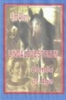 Jim Allen - LINDALOVESTORUN COMES OF AGE