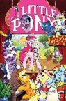 Ted Anderson, James Asmus, Tony Fleecs, Andy Price, Jeremy Whitley, Tony Fleecs... - My Little Pony: Friendship is Magic Volume 12