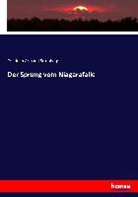 Friedrich Armand Strubberg - Der Sprung vom Niagarafalle