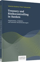 Sebastia Bodemer, Sebastian Bodemer, Peter Vollenweider - Treasury und Risikocontrolling in Banken