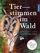 Holger Haag, Holger- Haag- - Tierstimmen im Wald, m. Audio-CD + Leporello