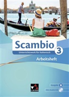 Michael Banzhaf, Michaela Banzhaf, Antoni Bentivoglio, Antonio Bentivoglio, P Bernabei, Paola Bernabei... - Scambio B - 3: Scambio B AH 3, m. 1 CD-ROM, m. 1 Buch
