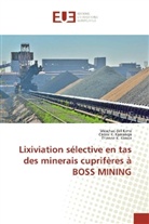 Cédric Kamanga, Cédric K. Kamanga, Etienn Kanoa, Etienne K. Kanoa, Méschac-Bil Kime, Méschac-Bill Kime - Lixiviation sélective en tas des minerais cuprifères à BOSS MINING