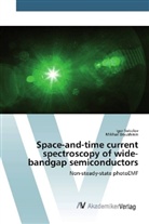 Mikhail Bryushinin, Igo Sokolov, Igor Sokolov - Space-and-time current spectroscopy of wide-bandgap semiconductors