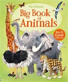 Fabiano Fiorin, Hazel Maskell, Maskell Hazel, Fabiano Fiorin, Fabiano Fiorin, Fiorin Fabiano - Big Book of Animals