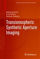Mikhai Gilman, Mikhail Gilman, Eric Smith, Erick Smith, Semyon Tsynkov - Transionospheric Synthetic Aperture Imaging