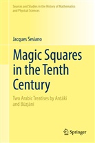 Jacques Sesiano - Magic Squares in the Tenth Century