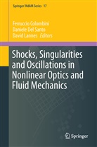 Ferruccio Colombini, Daniel Del Santo, Daniele Del Santo, David Lannes - Shocks, Singularities and Oscillations in Nonlinear Optics and Fluid Mechanics