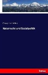 Georg von Hertling, Georg von Hertling - Naturrecht und Sozialpolitik