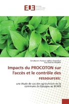 Guy Nouatin, Guy Sourou Nouatin, Omokunmi Floriane Sylfat Oreyichan, Omokunmi Floriane Sylfata Oreyichan - Impacts du PROCOTON sur l'accès et le contrôle des ressources: