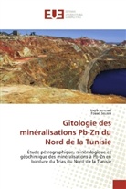 Neji Jemmali, Nejib Jemmali, Fouad Souissi - Gîtologie des minéralisations Pb-Zn du Nord de la Tunisie