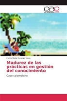 Carlos Mario Durango Yepes - Madurez de las prácticas en gestión del conocimiento