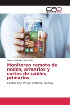 Henr Fernandez, Henry Fernandez, Astrid Niño - Monitoreo remoto de nodos, armarios y cortes de cables primarios