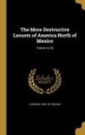 Lawrence Bruner, Lawrence 1856-1937 Bruner - The More Destructive Locusts of America North of Mexico; Volume no.28