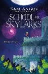 Sam Angus, Angus Sam - School for Skylarks