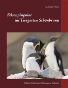 Ludwig Fessl - Felsenpinguine im Tiergarten Schönbrunn