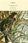 Rudyard Kipling, F. H. Townsend - The Brushwood Boy - Illustrated by F. H. Townsend