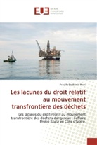 Priscille De Bonté Poeri - Les lacunes du droit relatif au mouvement transfrontière des déchets