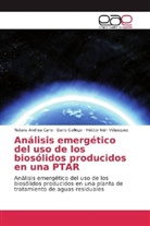 Natalia Andre Cano, Natalia Andrea Cano, Dari Gallego, Dario Gallego, Héc Vélasquez, Héctor Iván Vélasquez - Análisis emergético del uso de los biosólidos producidos en una PTAR