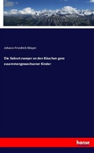 Johann Friedrich Mayer - Die Geburt zweyer an den Bäuchen ganz zusammengewachsener Kinder