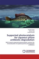 Bhanu Priya, Pankaj Raizada, Pardeep Singh - Supported photocatalysis for aqueous phase antibiotic degradation