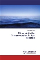 Toshikazu Takeda - Minor Actinides Transmutation in Fast Reactors
