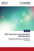 Fatih Yalç n, Fatih Yalç¿n, Fatih Yalçin - Dört Boyutlu Ising Modelin Simülasyonu