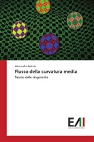 Alessandro Arsiccio - Flusso della curvatura media