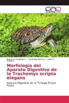 Soni Alvarado-Rico, Sonia Alvarado-Rico, Raquel Céspedes C, Raquel A Céspedes C, Raquel A. Céspedes C., García C... - Morfología del Aparato Digestivo de la Trachemys scripta elegans