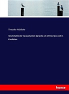 Theodor Nöldeke - Grammatik der neusyrischen Sprache am Urmia-See und in Kurdistan