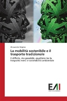 Alessandro Volpino - La mobilità sostenibile e il trasporto tradizionale