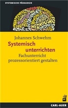 Johannes Schwehm - Systemisch unterrichten