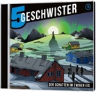 Tobias Schier, Tobia Schuffenhauer, Tobias Schuffenhauer - Der Schatten im ewigen Eis - Folge 19, Audio-CD (Hörbuch)