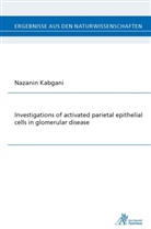 Nazanin Kabgani - Investigations of activated parietal epithelial cells in glomerular disease