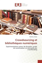Mathieu Andro - Crowdsourcing et bibliothèques numériques