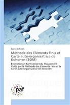 Fatima Belhabib - Méthode des Eléments Finis et Carte auto-organisatrice de Kohonen (SOM)