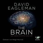 David Eagleman, Helge Heynold - The Brain, 4 Audio-CDs (Hörbuch)