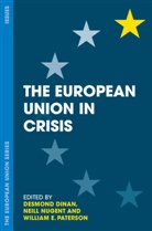 Desmon Dinan, Desmond Dinan, Desmond Nugent Dinan, neil Nugent, Neill Nugent, Nugent Neill... - The European Union in Crisis